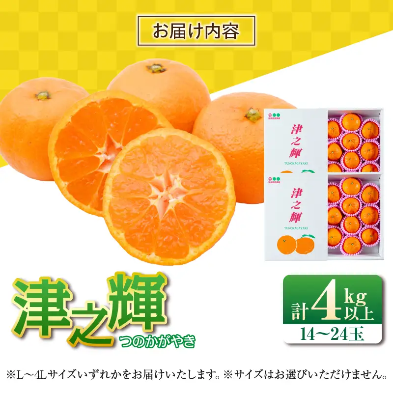 先行予約 みかん 津之輝 つのかがやき 4kg 希少 L ～ 4L フルーツ 果物 くだもの 柑橘_CAV18-26