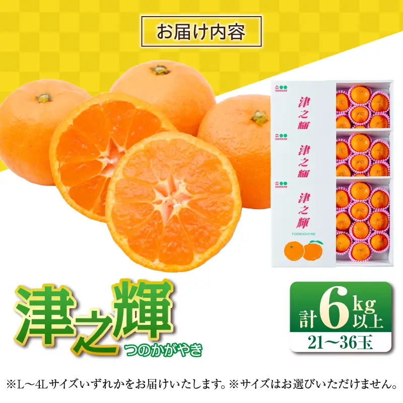 先行予約 みかん 津之輝 つのかがやき 6kg 希少 L ～ 4L フルーツ 果物 くだもの 柑橘_DC56-26