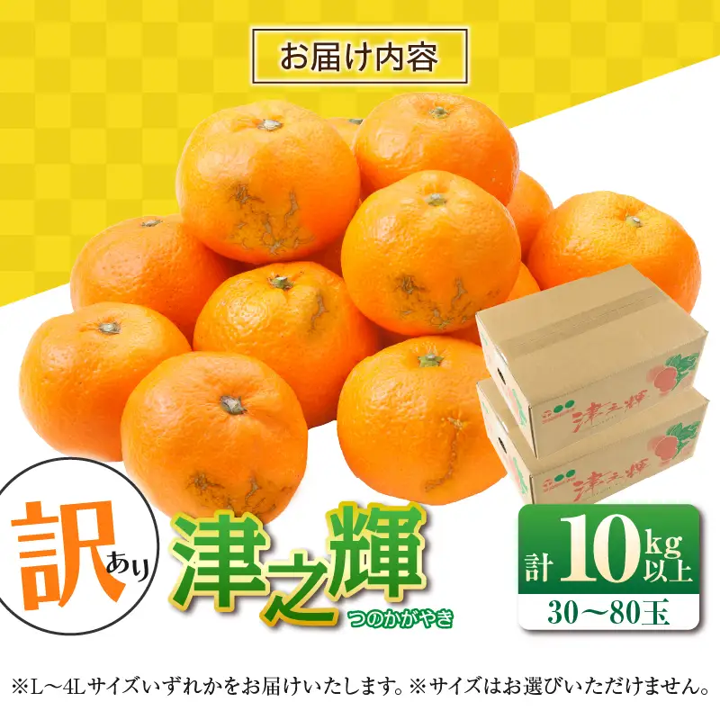先行予約 訳あり みかん 津之輝 つのかがやき 10kg 希少 L ～ 4L サイズ不揃い フルーツ_DC57-26
