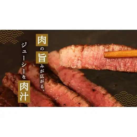《 定期便 》 上州牛 ヒレステーキ 100g × 5枚 3ヶ月 連続お届け [AH020tu]