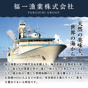 【定期便】 天然本まぐろセット 5回隔月で届け (b200-037)