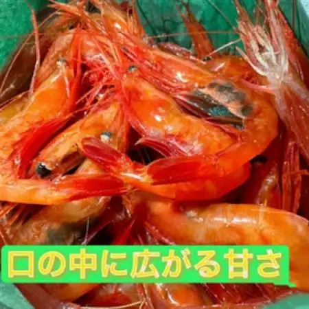 濃厚甘えび　北海道日本海甘えび【200g×4】【配送不可地域：離島】【1455491】