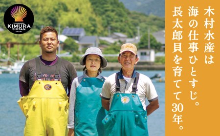 【先行受付】生け簀でお届けヒオウギ貝65個セット エアポンプ付【R00646】