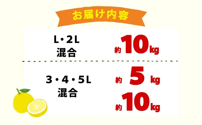 【先行予約】土佐文旦 5kg 3L-5L 文旦