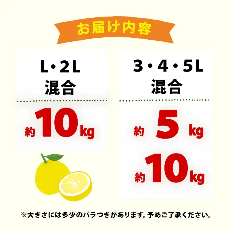 【先行予約】土佐文旦 10kg 3L-5L 文旦