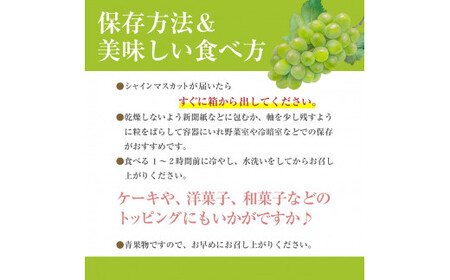 シャインマスカット 【2027年発送】秀品 山梨 1房 (約550g) ぶどう 葡萄 山梨県 フルーツ 果物 くだもの ギフト 産地直送 人気  Inakakara厳選 [5839-1977]