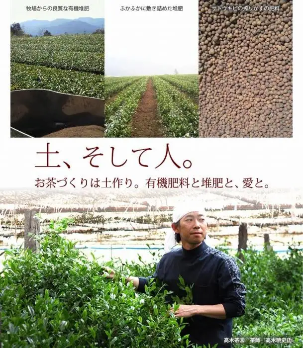 奥八女星野村 伝統本玉露 50g×1袋＜八女茶＞