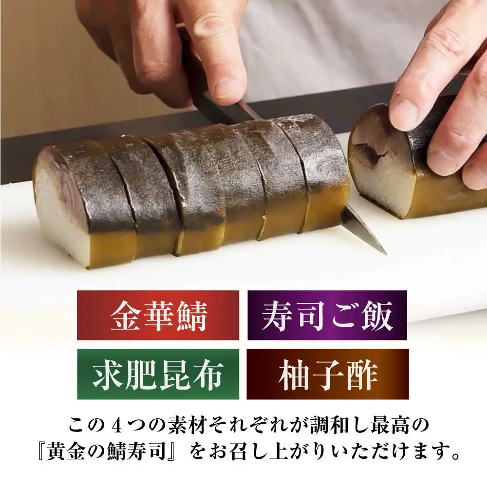 柚子香 黄金の鯖寿司（上）[AOAV005] 鯖寿司