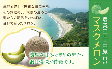 【定期便】先行予約 マスクメロン 2回定期便   2玉 2Lサイズ 伊良湖メロン男子