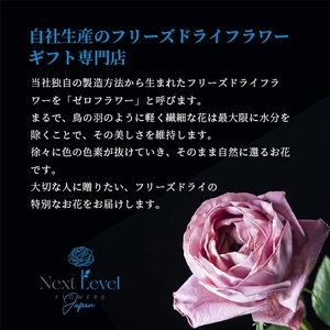 SL0214　フリーズドライフラワー BOX 「日本HANA」
