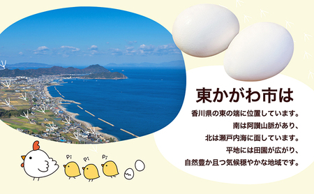  たまご 新鮮 Mサイズ 鶏卵  たまご 【10個×3P】