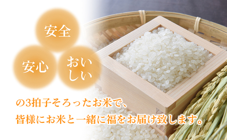 令和7年産香川県産コシヒカリ2kg（精米） お米 