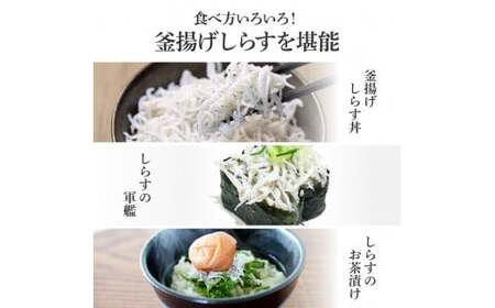 《3ヶ月定期便》高知県産釜揚げしらす500g 