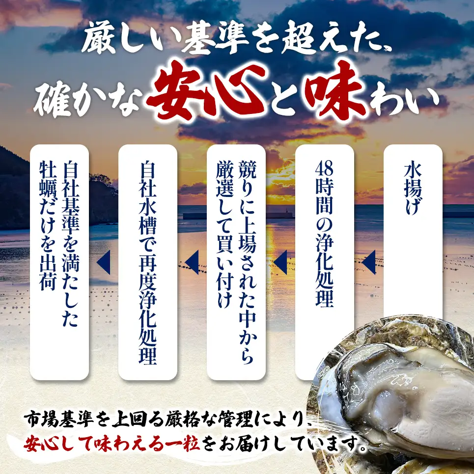 【お中元】北海道 厚岸産 ブランド牡蠣 マルえもん 殻付き 牡蠣 LLサイズ 20個 【光輝】 [ 魚貝類 生牡蠣 海鮮 海の幸 生食用牡蠣 生食用 生食用殻付き牡蠣 濃厚 甘み  オイスター ]  