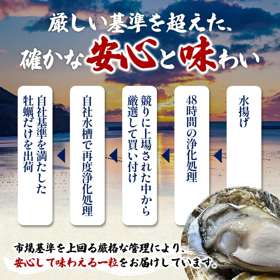 【お歳暮】北海道 厚岸産 ブランド牡蠣 マルえもん 殻付き 牡蠣 LLサイズ 14個 【光輝】 [ 魚貝類 生牡蠣 海鮮 海の幸 生食用牡蠣 生食用 生食用殻付き牡蠣 濃厚 甘み  オイスター ]  