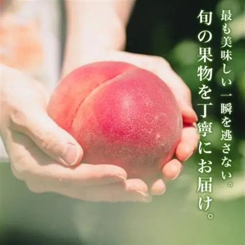 2027年(来年)発送先行受付約2kg 完熟桃とろける甘みYAMANASHI PRIDE 　5～8玉【配送不可地域：離島・北海道・沖縄県・中国・四国・九州】【1222000】