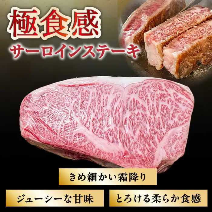 【内閣総理大臣賞受賞】長崎和牛 サーロインブロック 約3kg / ステーキ肉 サーロインステーキ / 南島原市 / 島原雲仙農業協同組合 [SES001]