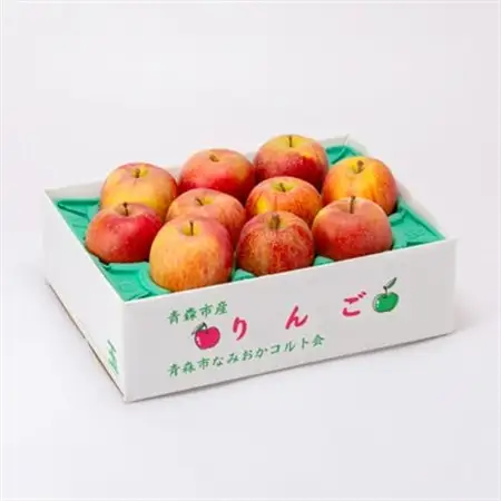 青森市産りんご「葉とらずサンふじ」約3kg(家庭用)_果物・フルーツ りんご  リンゴ 林檎_【配送不可地域：離島・沖縄県】【1466365】