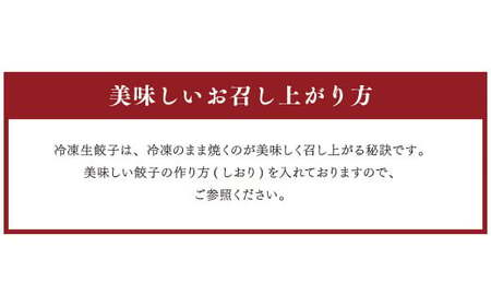 熊本和牛 あか牛 ぎょうざセット 熊本あか牛餃子 20個入り×2箱
