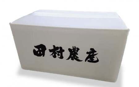 【新米先行予約】令和8年産米 ミルキークイーン 無洗米 6kg（2kg×3袋）田村農産 新潟米[Y0094]
