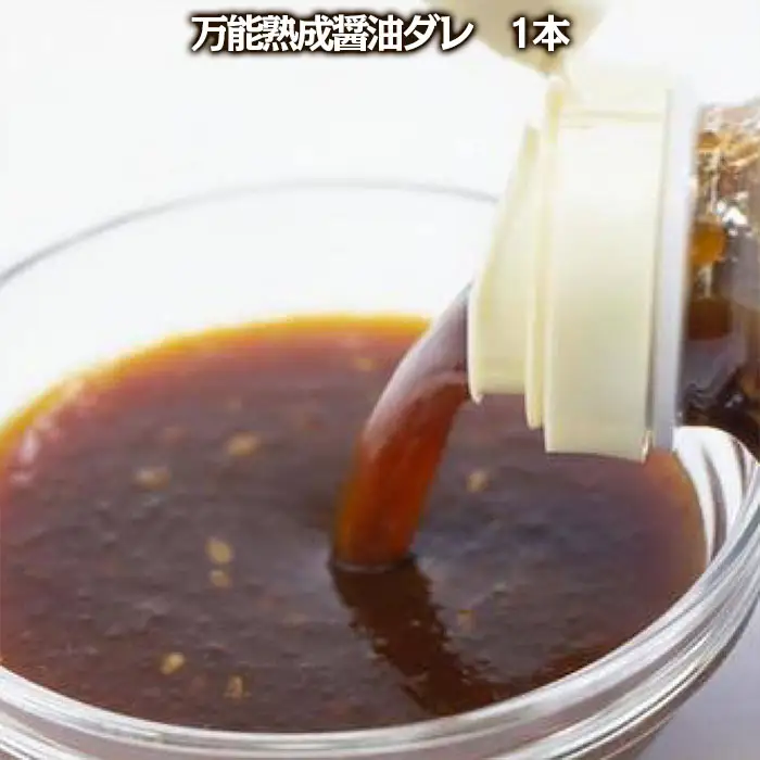 "やたら売れてる"焼肉屋の山形牛入りハンバーグ(120g×5)と万能熟成生醤油ダレ(1本)セット FZ25-942