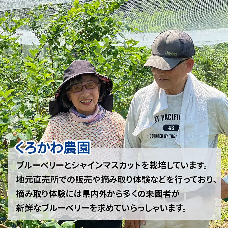 くろかわ農園 冷凍ブルーベリー 1kg（500g×2パック） 秋田県美郷町