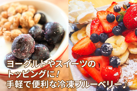 くろかわ農園 冷凍ブルーベリー 2kg（500g×4パック） 秋田県美郷町