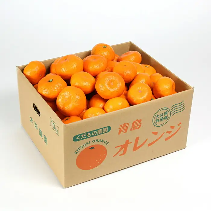 高糖系 温州みかん 青島 (訳あり・規格外) 約10kg【木戸農園】 1月 2月 果物 フルーツ 数量限定 期間限定 九州 大分県 ＜113-014＞