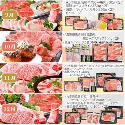 お肉の定期便(12回)枕崎お楽しみ便(A5等級黒毛和牛・黒豚・黒豚加工品etc) KK-6003_ 黒毛和牛 黒豚 ロース ソーセージ スライス サーロイン 赤身 焼肉 ハンバーグ 食べ比べ 定期便 肉 セット 鹿児島 枕崎 産直 _【配送不可地域：離島】【1166746】