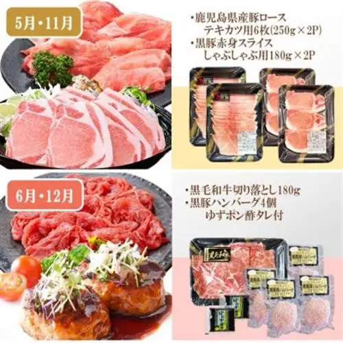 定期便(6回)A5・A4等級黒毛和牛・黒豚etc FF-0061_肉 牛肉 サーロイン ステーキ 焼肉 ハンバーグ 切り落とし 豚肉 生姜焼き ロース バラ しゃぶしゃぶ ホルモン ソーセージ 生ハム 人気 送料無料_【配送不可地域：離島】【1166779】