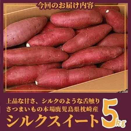 シルクスイート 〈5キロ〉 サツマイモ さつまいも 鹿児島県 A3-346_野菜 さつまいも いも サツマイモ 薩摩芋  野菜  いも イモ 芋_【配送不可地域：離島】【1167014】