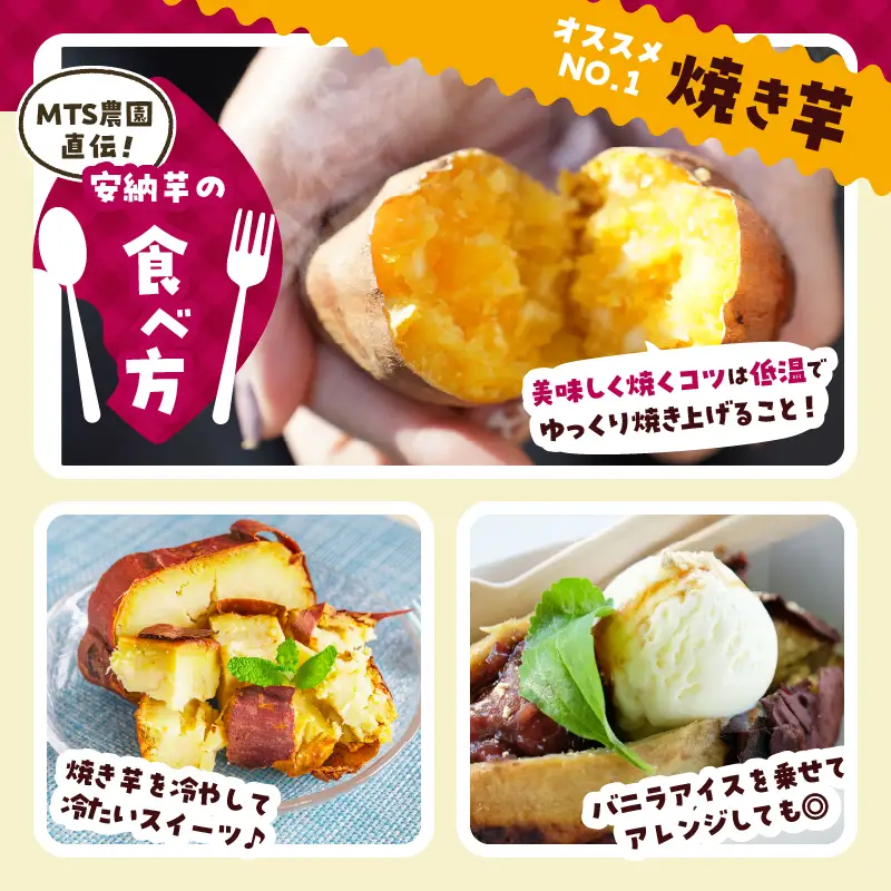 ≪先行予約≫都農町産安納芋(計10kg) 野菜 芋 イモ 国産_T016-0027