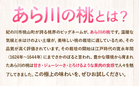 【先行予約】 あら川の桃 約1kg 秀品 前商店