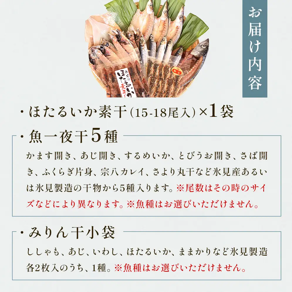氷見 堀与 一夜干5種とみりん干とほたるいかの素干 富山県 氷見市 干物 詰め合わせ 食べ比べ セット 味醂干し ホタルイカ
