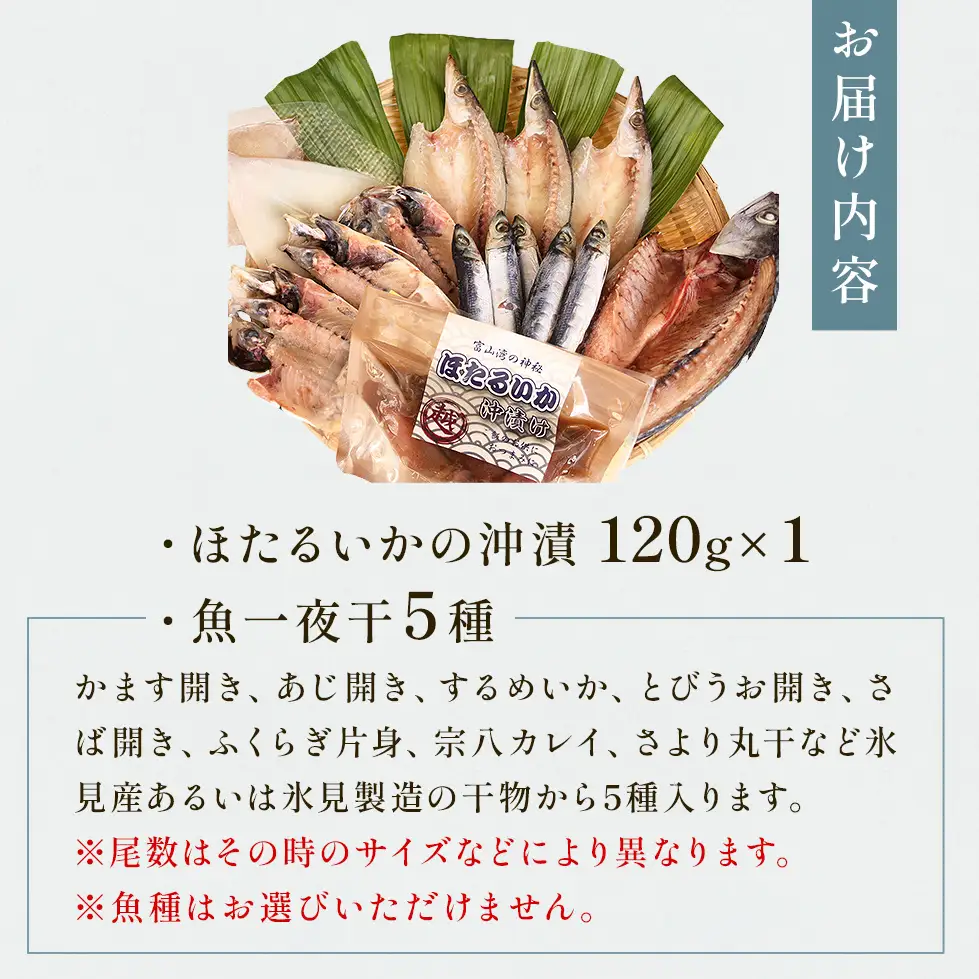 氷見 堀与 一夜干5種とほたるいかの沖漬 富山県 氷見市 干物 詰め合わせ 食べ比べ セット ホタルイカ