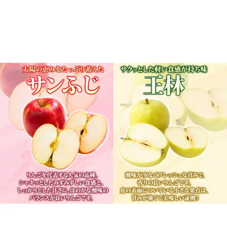 りんご詰合せ サンふじ王林 青森県産 家庭用 りんご詰合せ【約10kg】【12月発送】