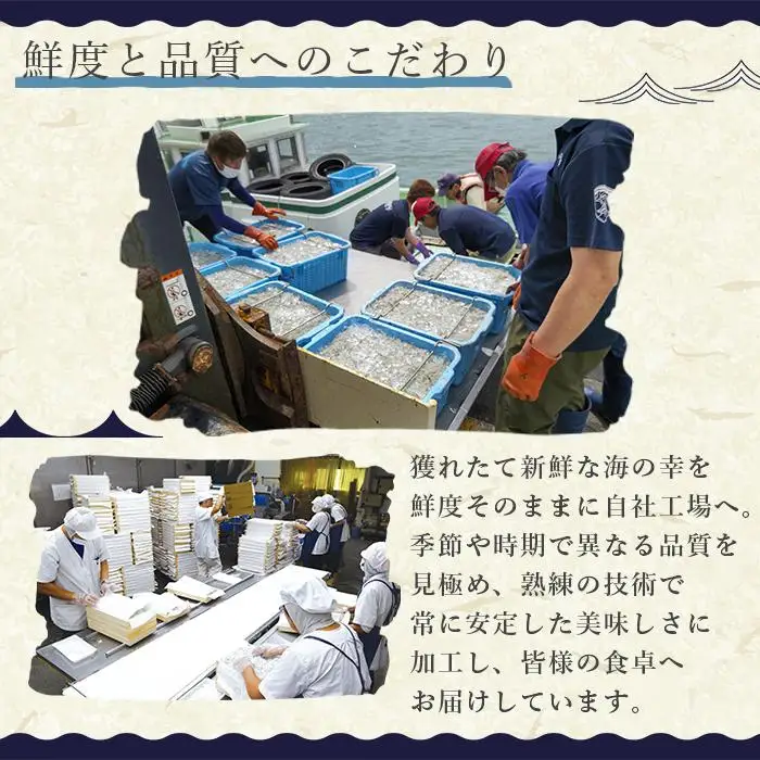 訳アリ　厳選生しらす　500g　おさしみしらす AR007