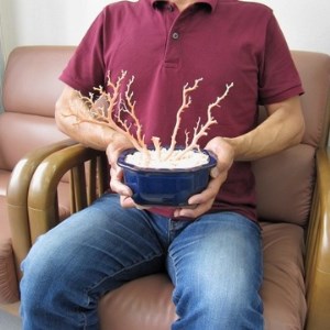 珊瑚職人館 珊瑚の原木・拝見・置物 12 置物