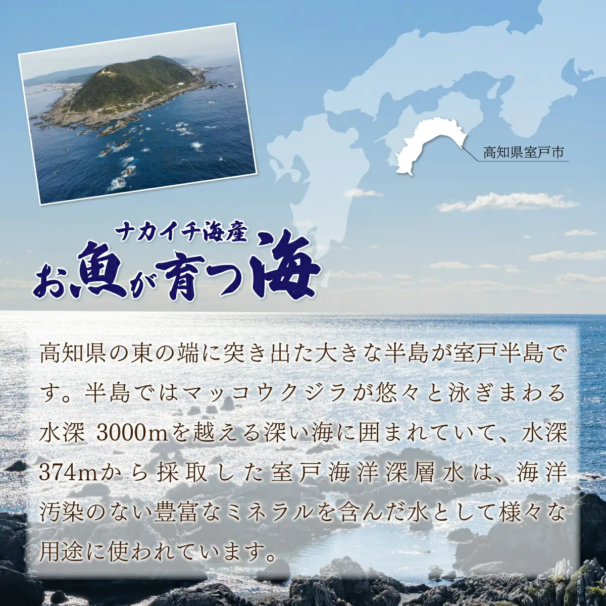 【アジの干物】ナカイチ海産 干物5から8枚セット