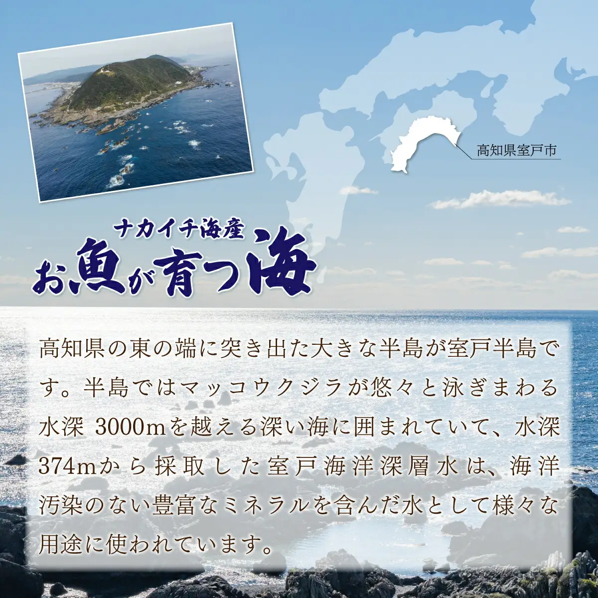 ナカイチ海産！サバの干物５～８枚