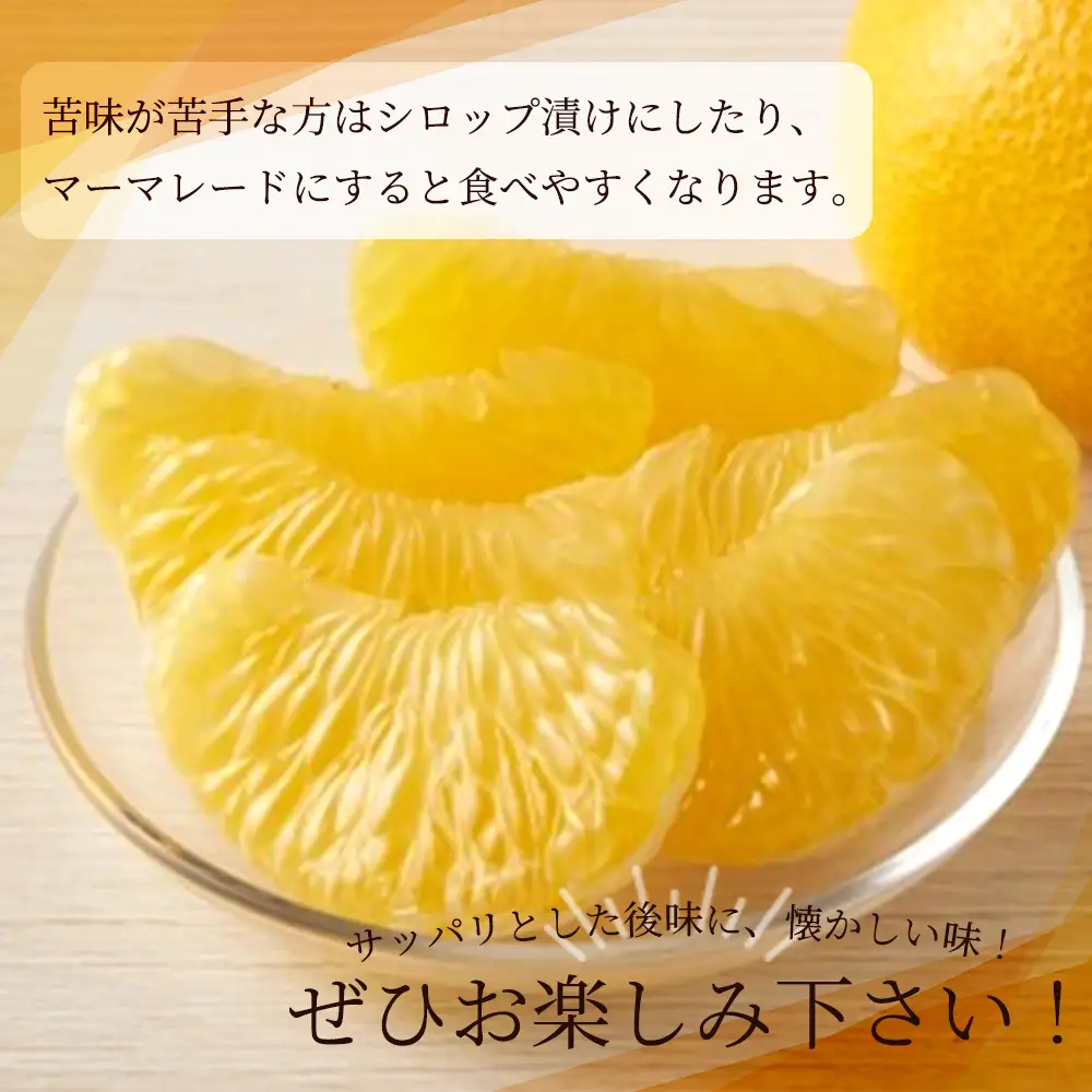 紀州和歌山産 八朔（はっさく） 約10kg ※2027年1月下旬頃～2027年2月上旬頃に順次発送予定 ※日付指定不可 八朔 はっさく 柑橘 果物 くだもの フルーツ【uot785】