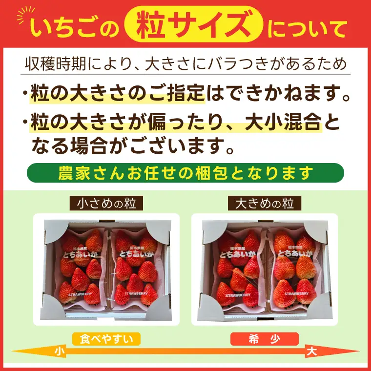 とちあいか いちご ★贈答用★ 600g 300g×2P DJ002