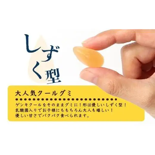 八重山ご当地キャラクターゲンキくん クールグミ 12袋　OP-3