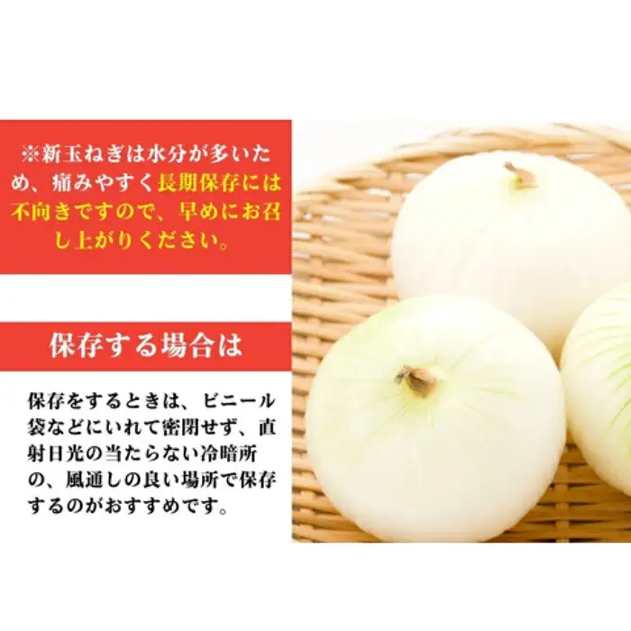 新玉ねぎ 訳あり 5kg  新玉ねぎ シルクオニオン 新玉ねぎ 玉ねぎ愛媛県 愛南町青果市場