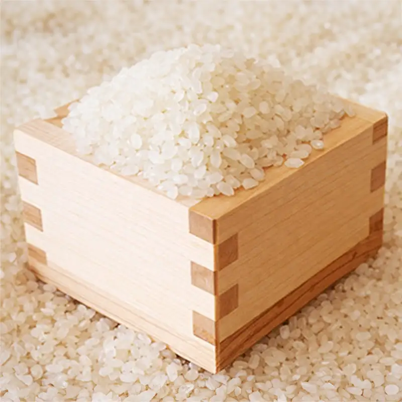＜令和7年産＞福岡県産米食べ比べ＜無洗米＞「夢つくし」と「元気つくし」セット　計10kg(各5kg) 【米 ブランド米 ブランド 白米 無洗米 元気つくし 夢つくし 福岡県産 グルメ 福岡県 筑前町 CE060】【価格改定】