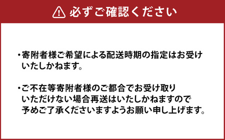 手軽に炊ける贅沢きのこご飯セット（2種類の味わい） 帆立ときのこ200g（2合炊き）×2パック 4種類のきのこ250g（3合炊き）×2パック 計4パック 炊き込みご飯 素 レトルト