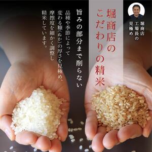 【定期便】新潟産コシヒカリ5kg×6回 6ヶ月