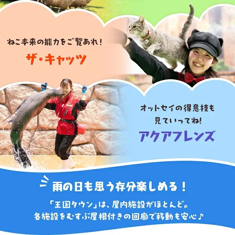 那須どうぶつ王国 ペアご招待券 2名 ｜ 動物 動物園チケット 動物園 どうぶつえん チケット 券 入場券 入園券 観光 ファミリー 家族 お出かけ 旅行 栃木県 那須町〔P-153〕