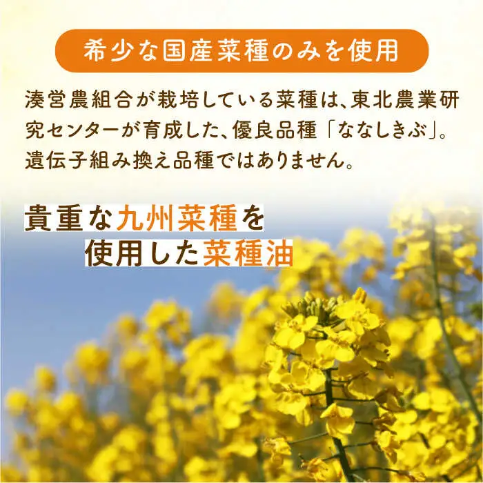 菜の花油 【全6回定期便】 菜の花 2本 [ABAQ050] 菜の花油