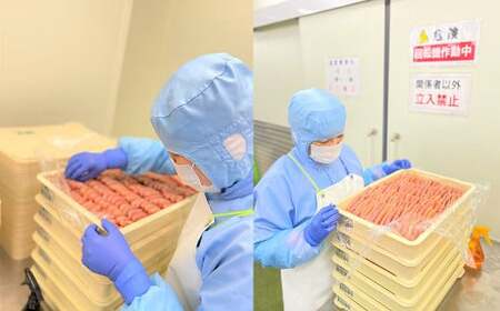 玄海 辛子明太子詰め合わせ 合計1.17kg 明太子